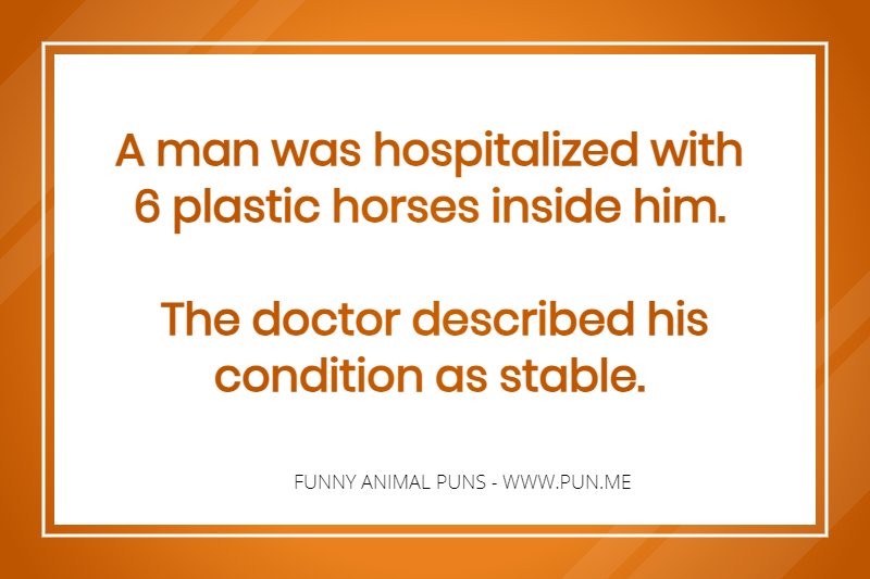 funny pun related to horses.