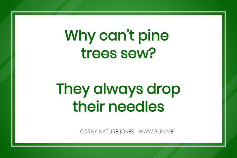corny nature joke about trees