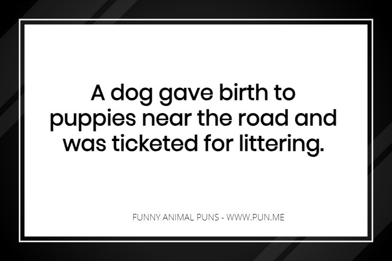 A dog gave birth to puppies near the road and was ticketed for littering.
