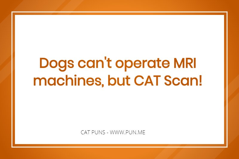 Funny pun about mri machines and cat scan