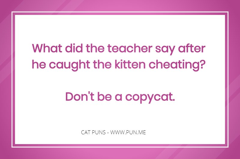 Funny cat related joke