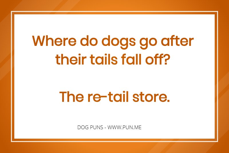 Where do dogs go after their tails fall off - The re-tail store.
