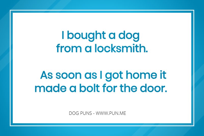 Funny locksmith dog pun