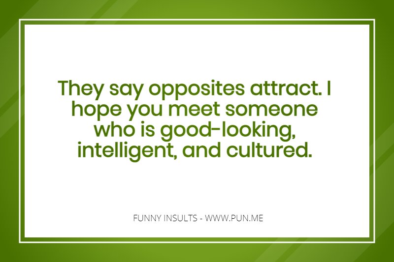 Intelligent yet funny insult
