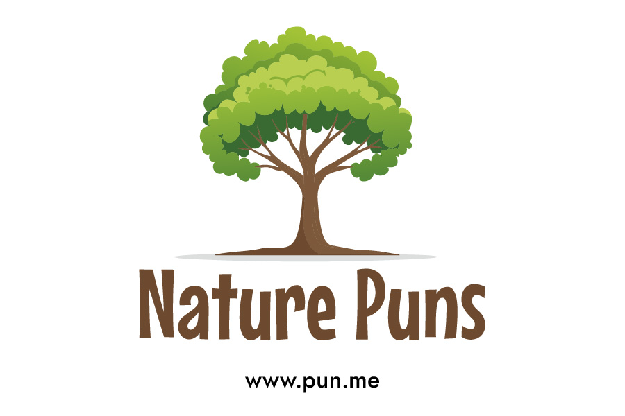 List of Nature Puns