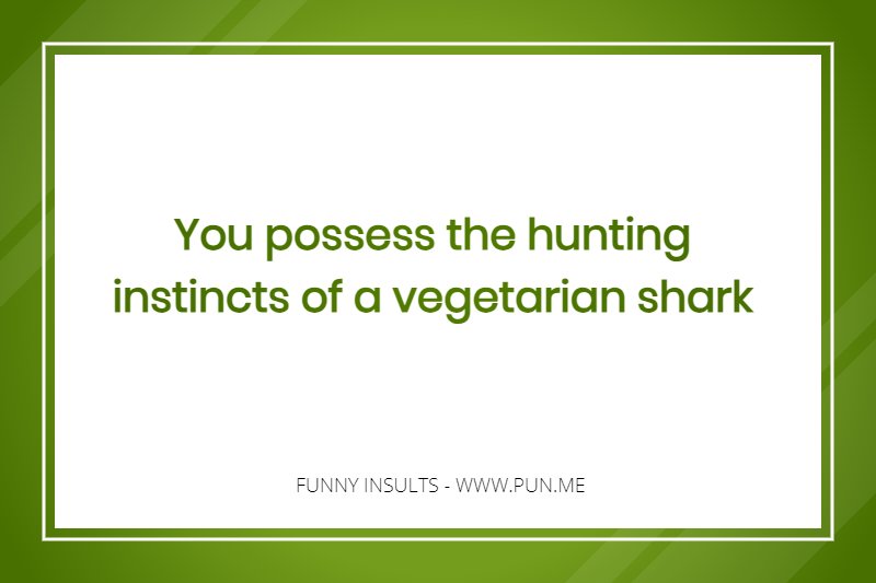 Nonsensical Funny Insult