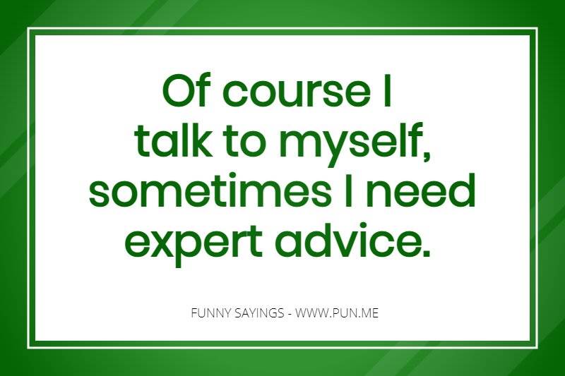Funny saying about talking to myself