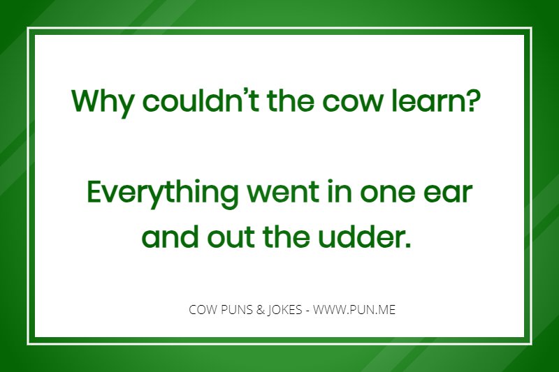 Udder related funny pun