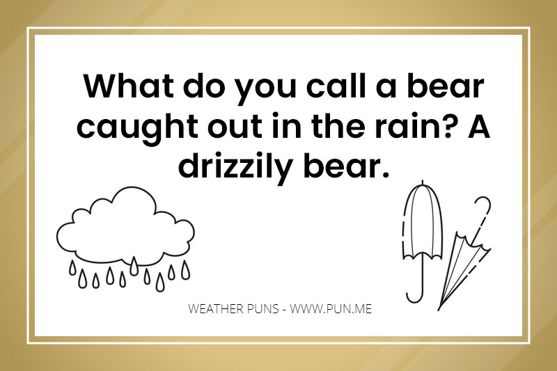 Weather pun about a bear